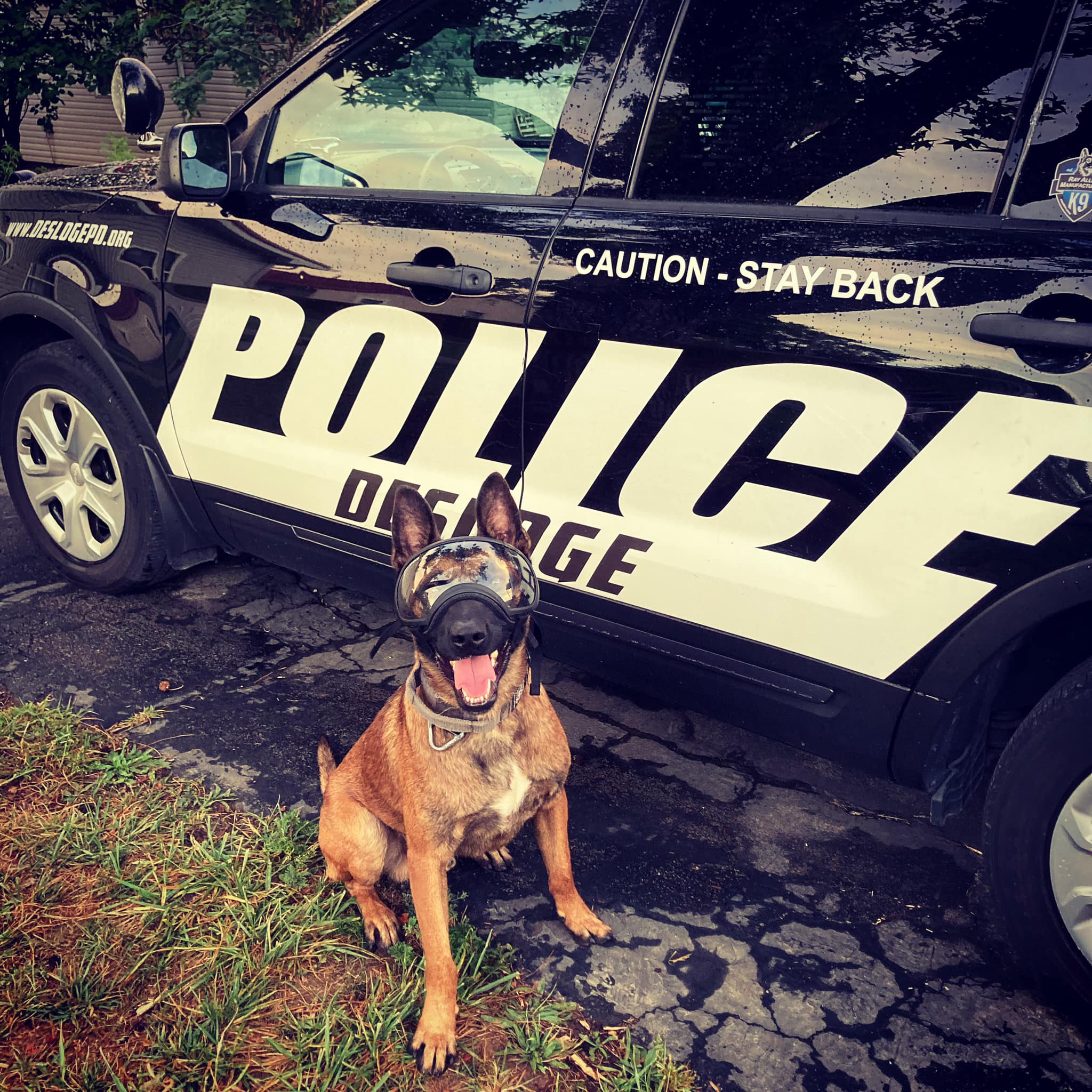 Second K9 Added To Desloge Force