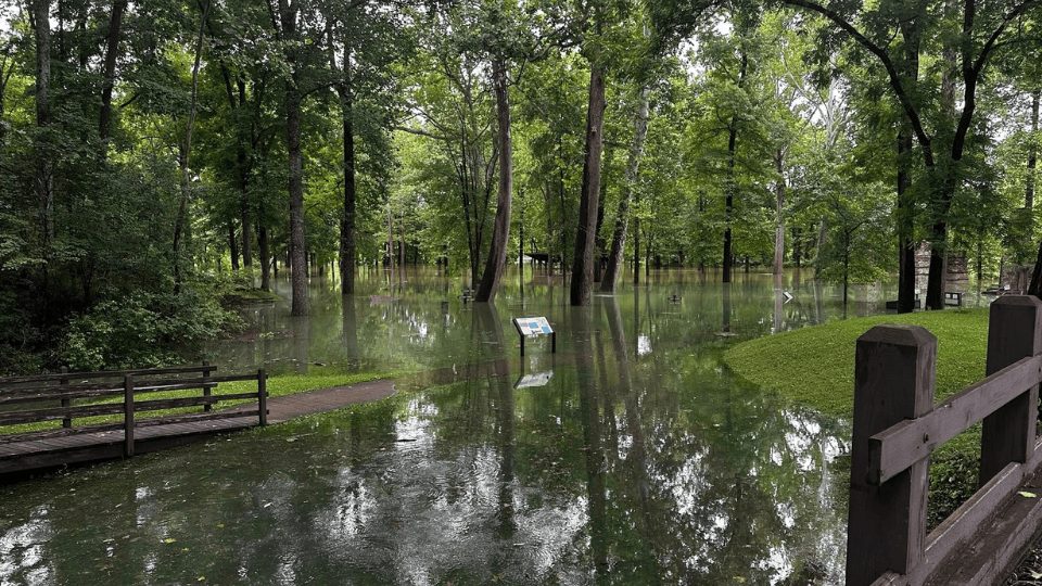 Flooding Forces Temporary Closure of Maramec Spring Park