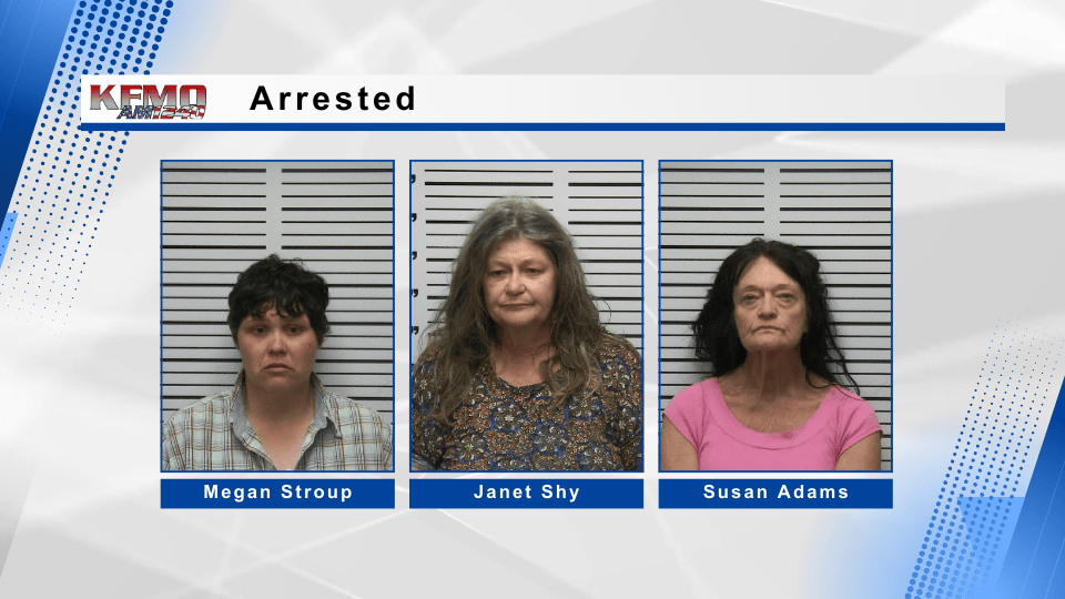 Officer Injured, Multiple Arrests After Incident in Iron Mountain Lake