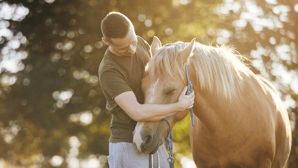 New Animal-Assisted Interventionist Certificate Program Launching at MAC This Fall