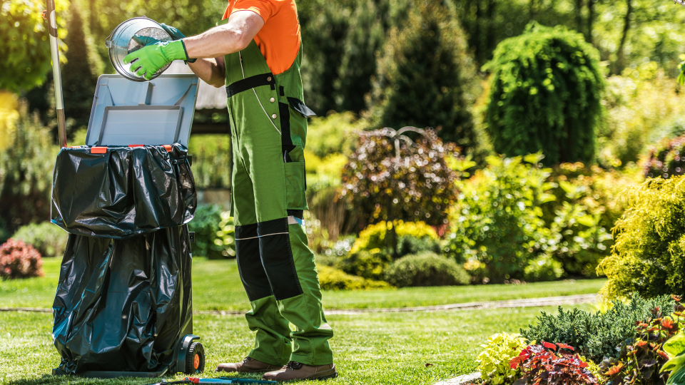 Spring Clean Up in the Arcadia Valley